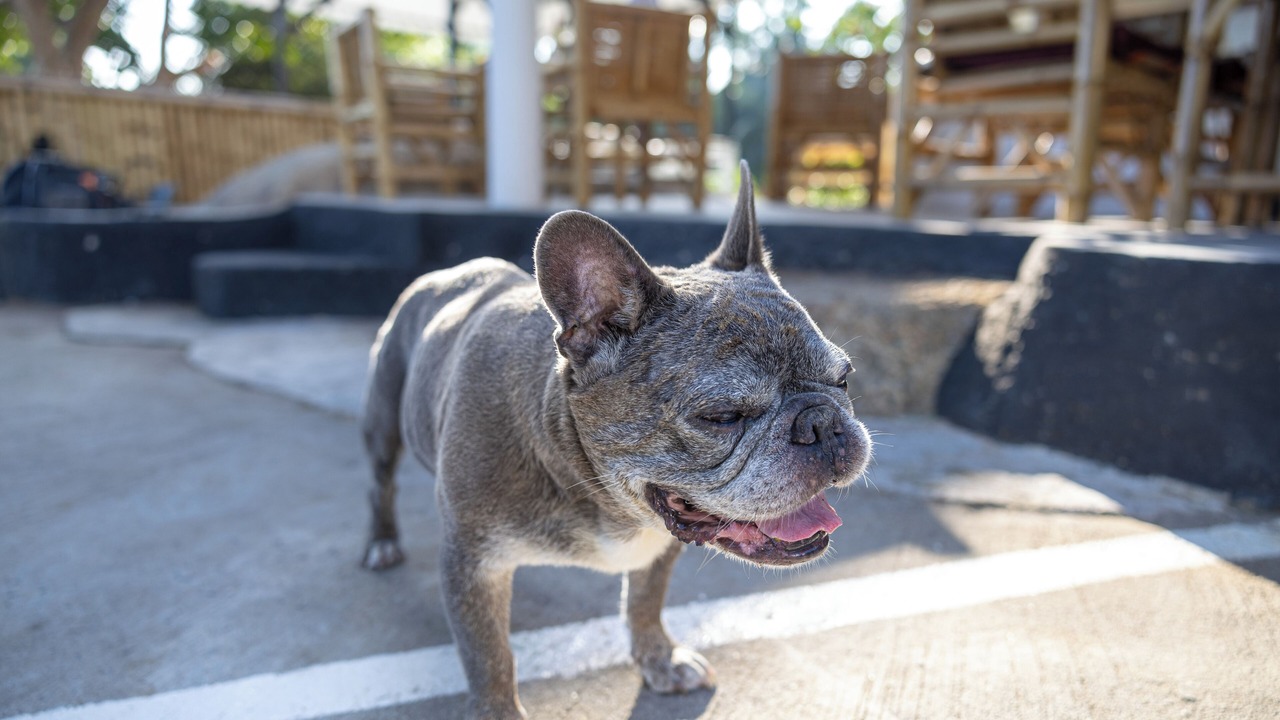 Photo of Outdoor in Baan Tai