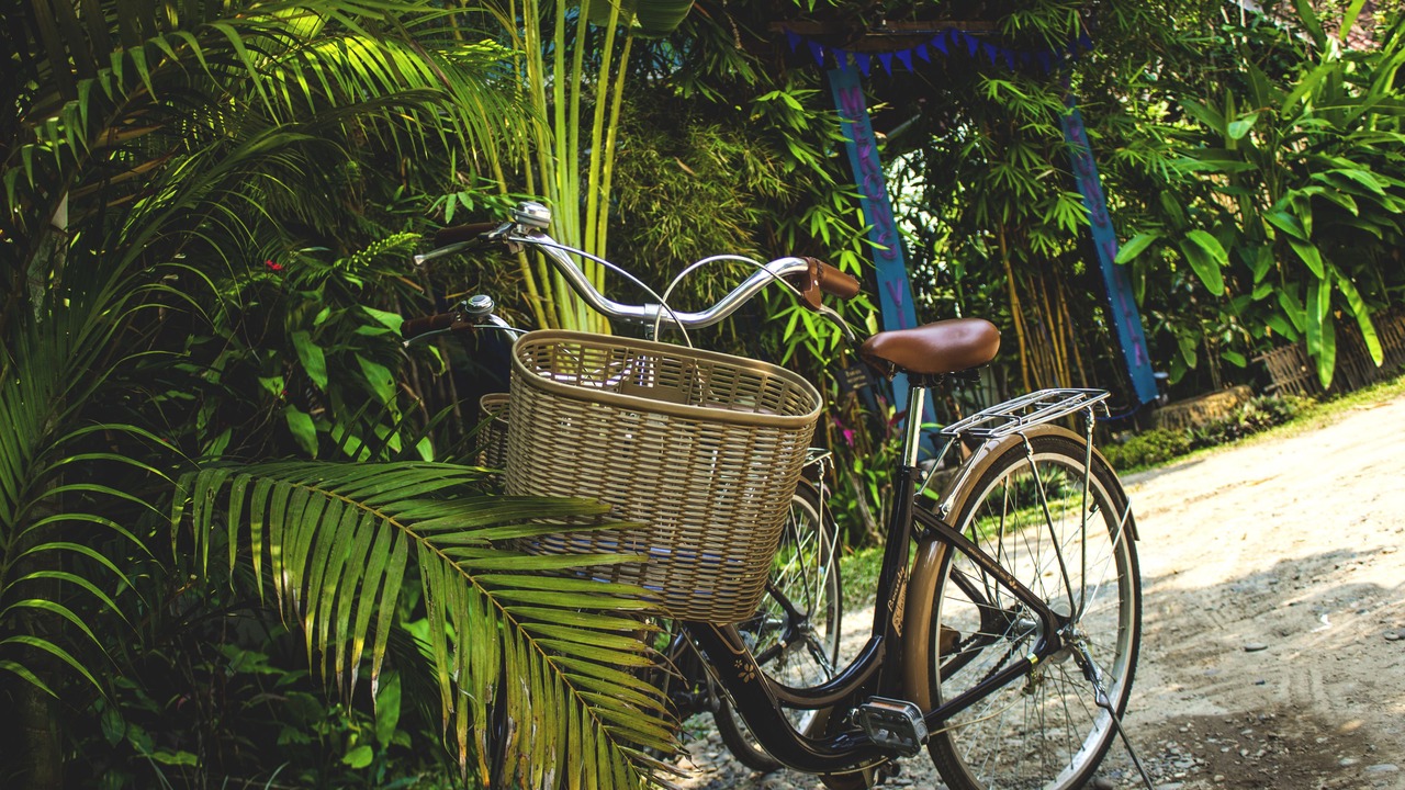 Photo of Outdoor in Luang Prabang