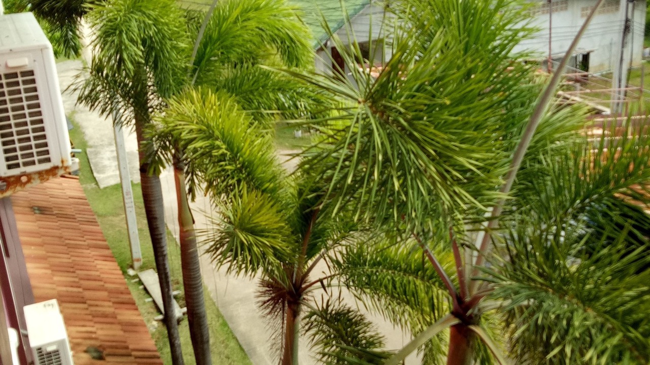 Photo of Outdoor in Ko Lanta