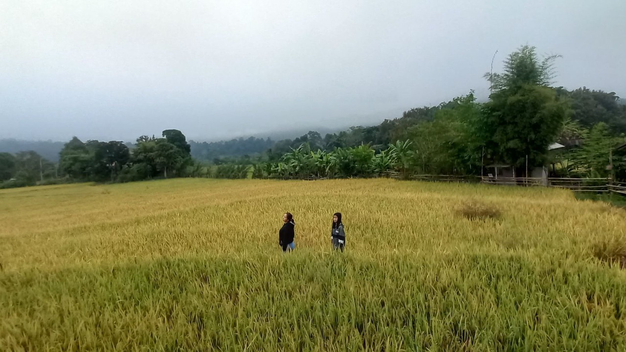 Photo of Outdoor in Chiang Dao