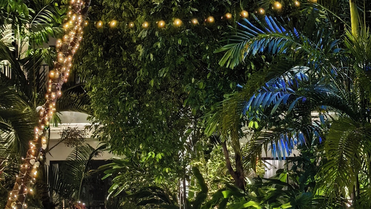 Photo of Outdoor in Wat Ket