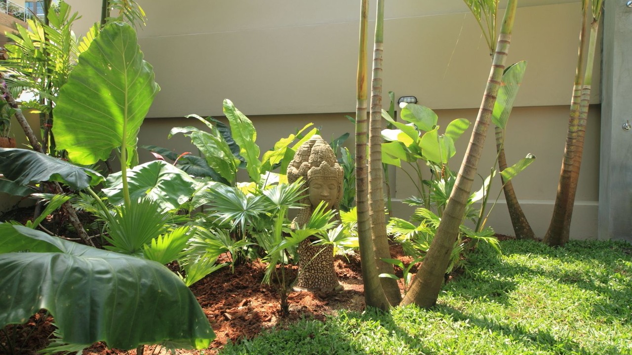 Photo of Outdoor in Lamai