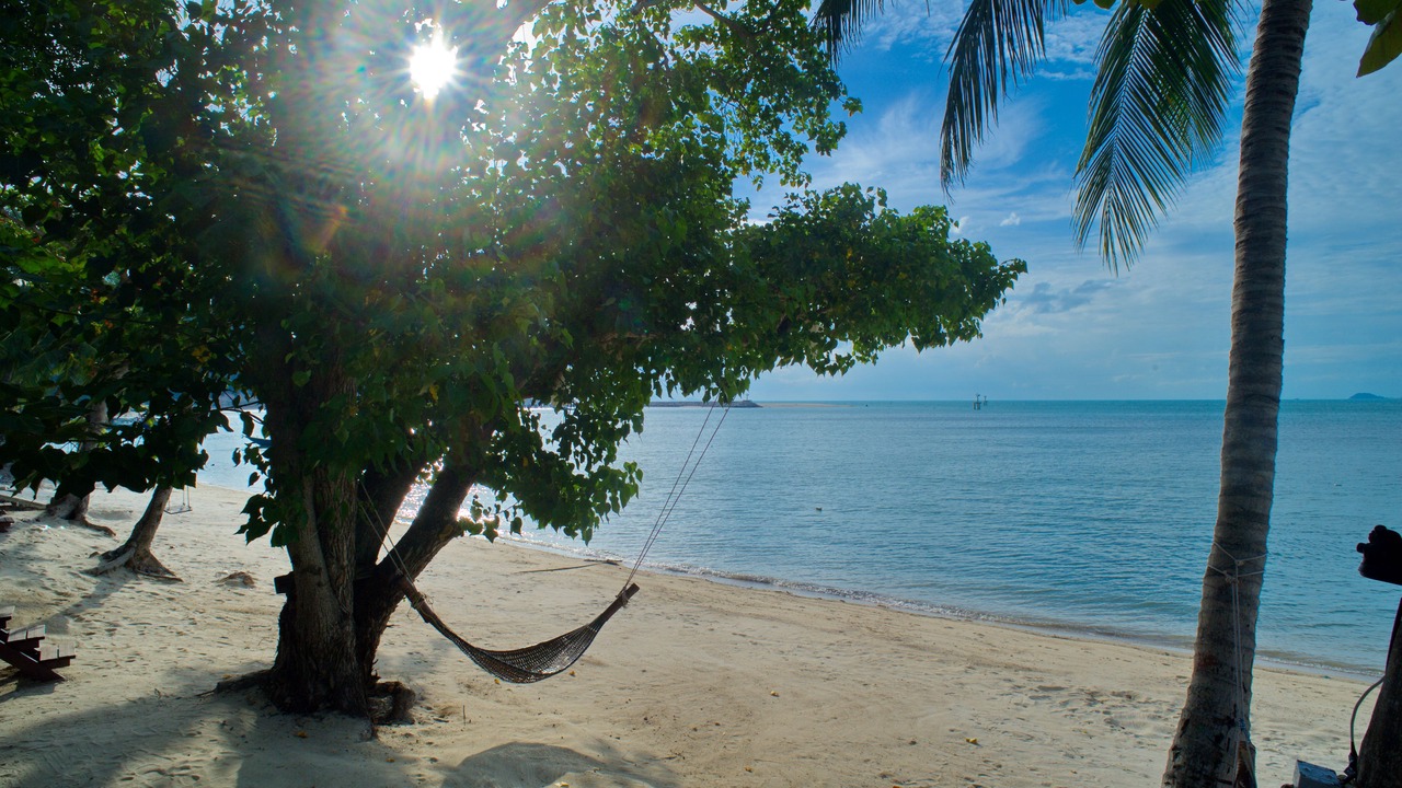 Photo of Others in Lipa Noi