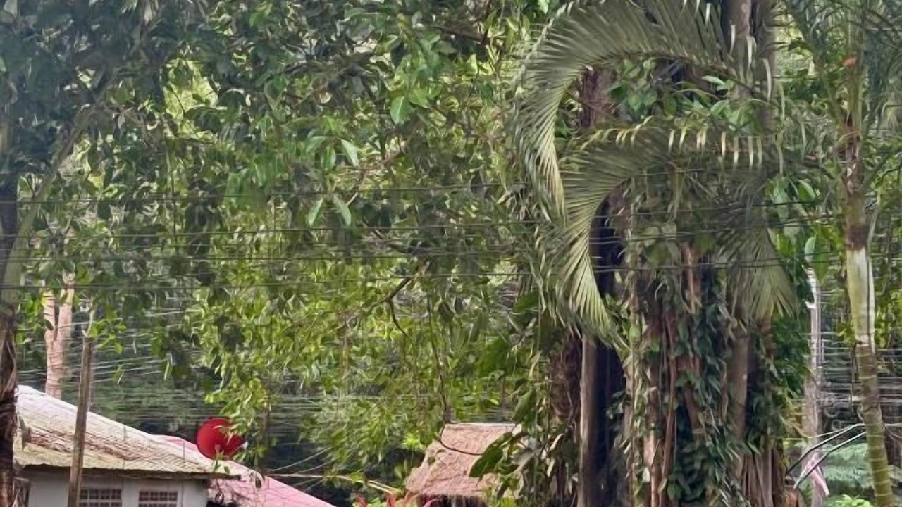 Photo of Patio Balcony in Ko Chang