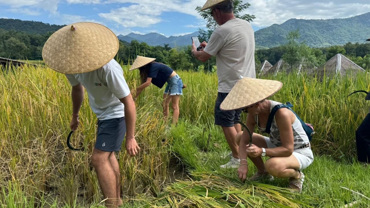 Photo of Outdoor in Luang Prabang