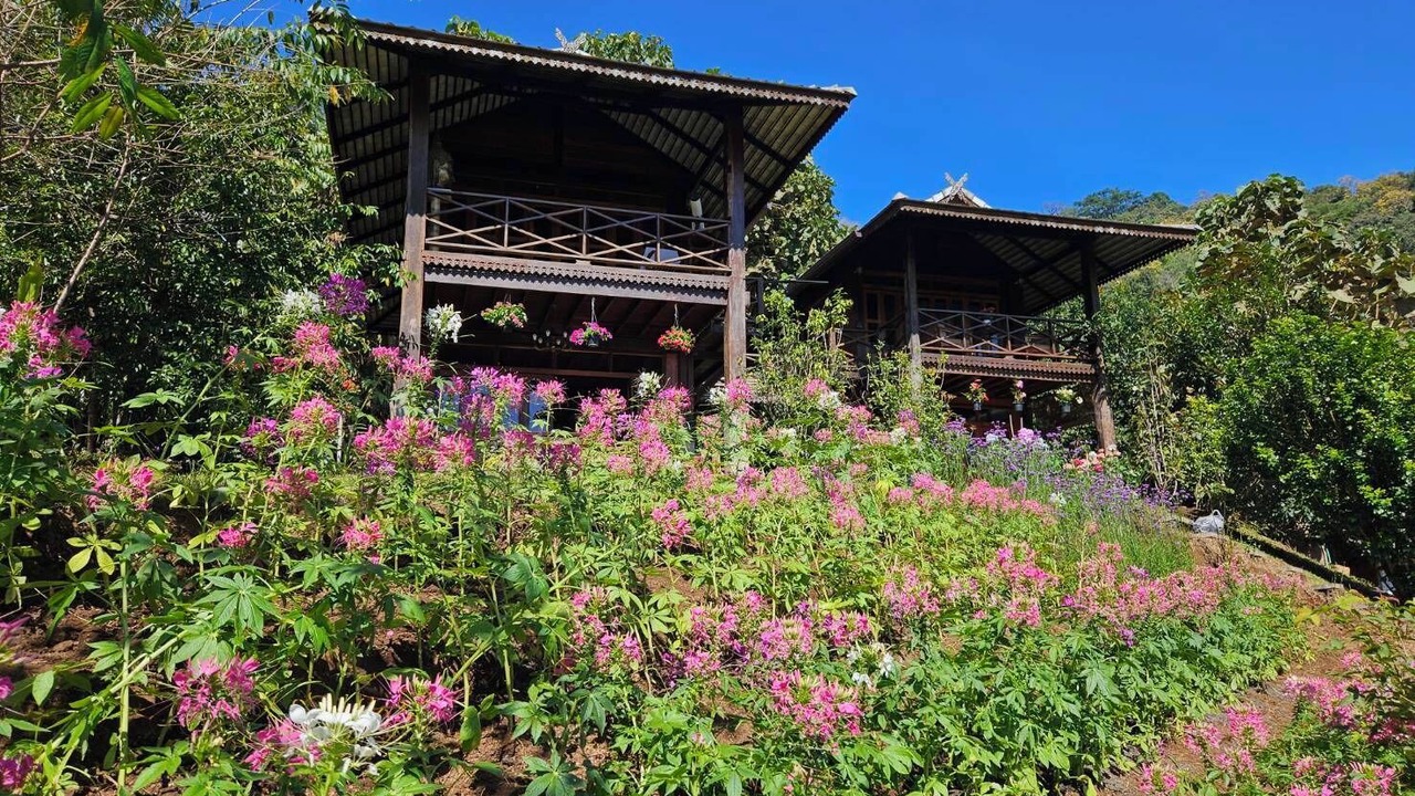 Photo of Outdoor in Pong Yaeng
