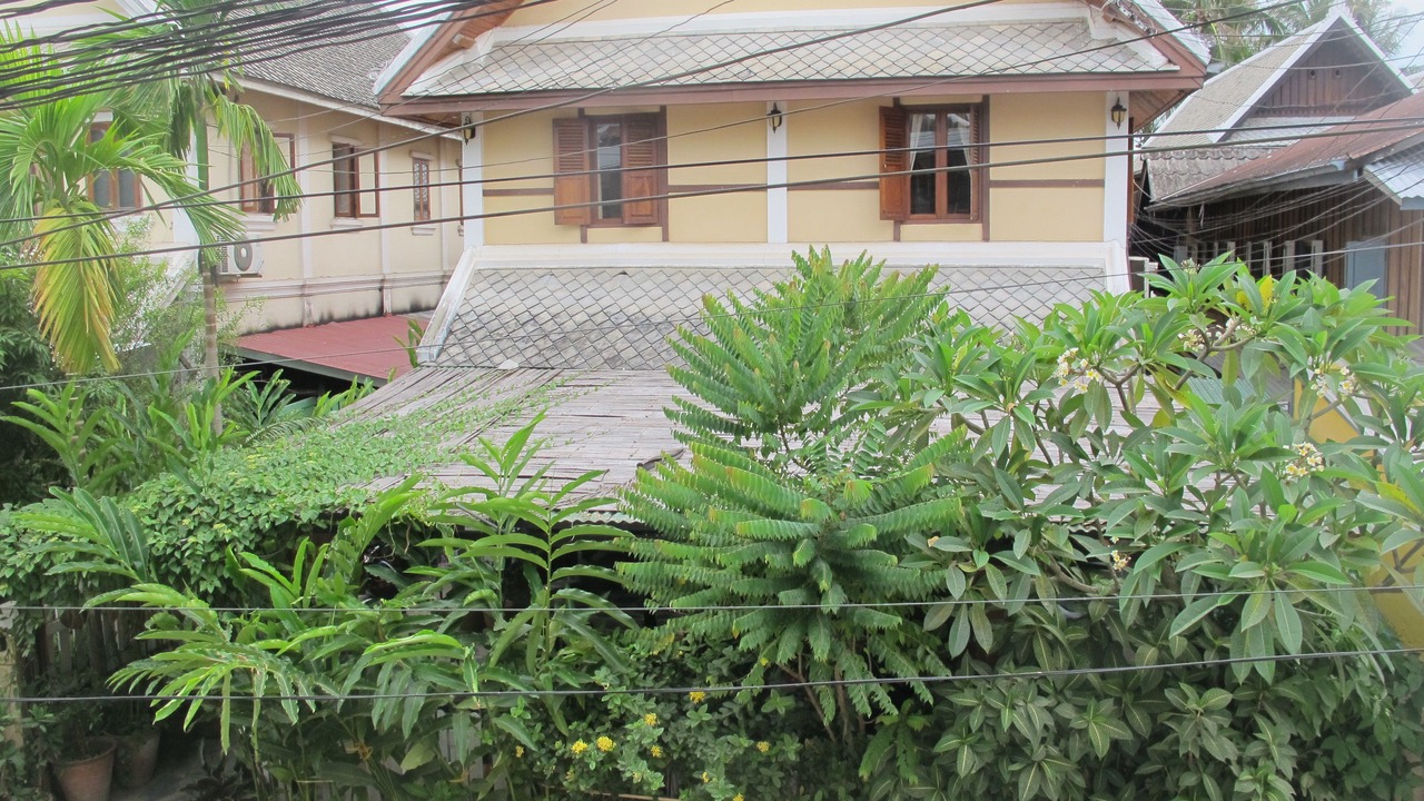 Photo of Outdoor in Luang Prabang