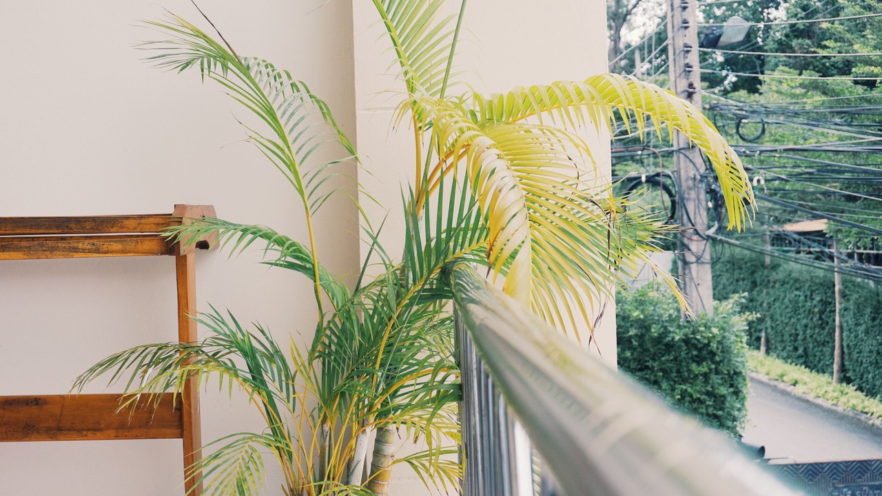 Photo of Patio Balcony in Sa Khu