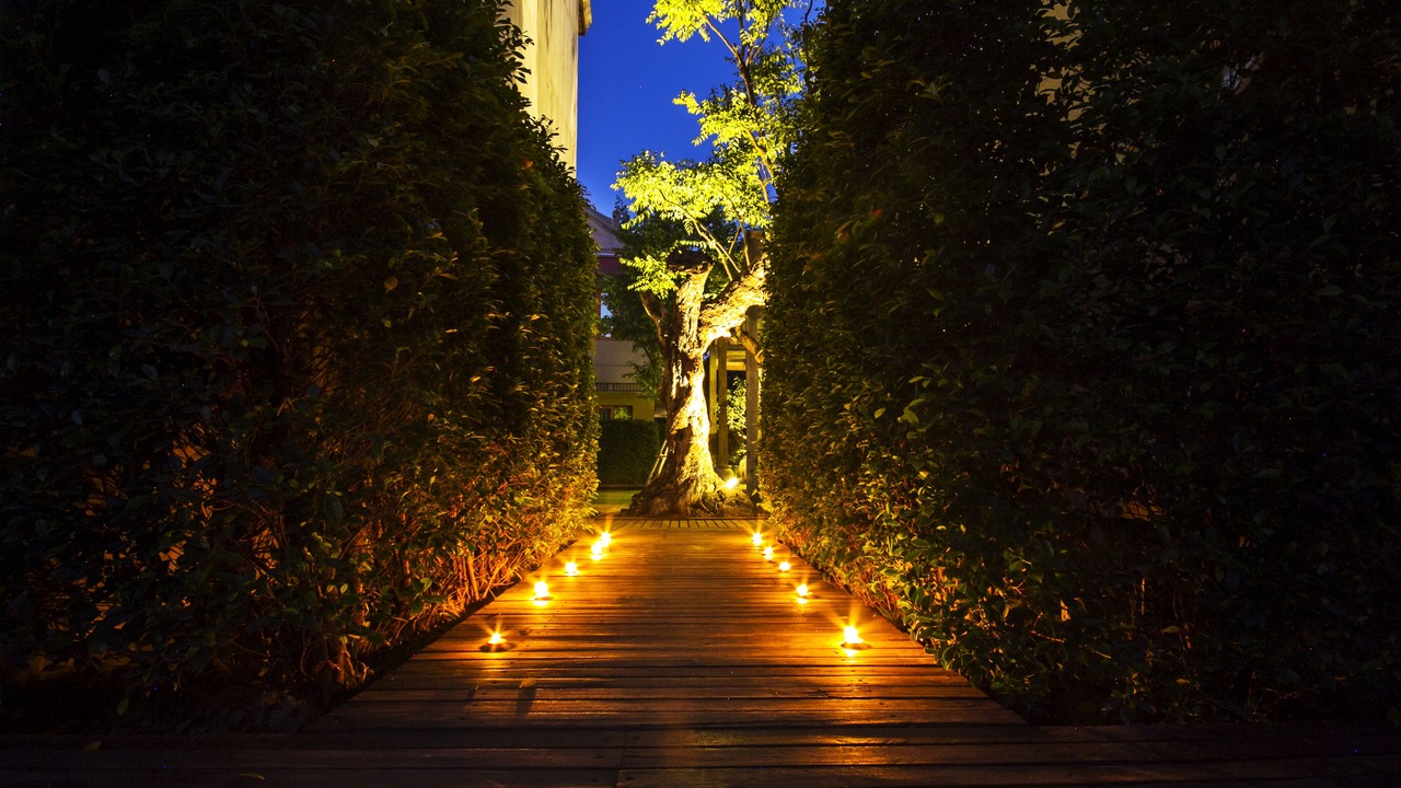 Photo of Outdoor in Chiang Mai