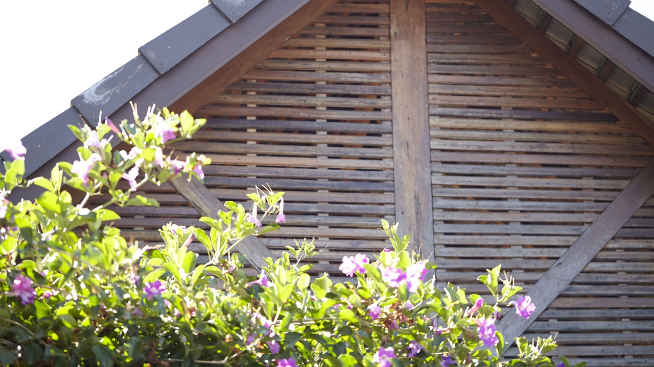 Photo of Outdoor in Pai