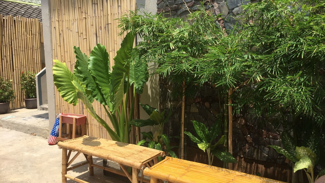 Photo of Outdoor in Ko Lanta