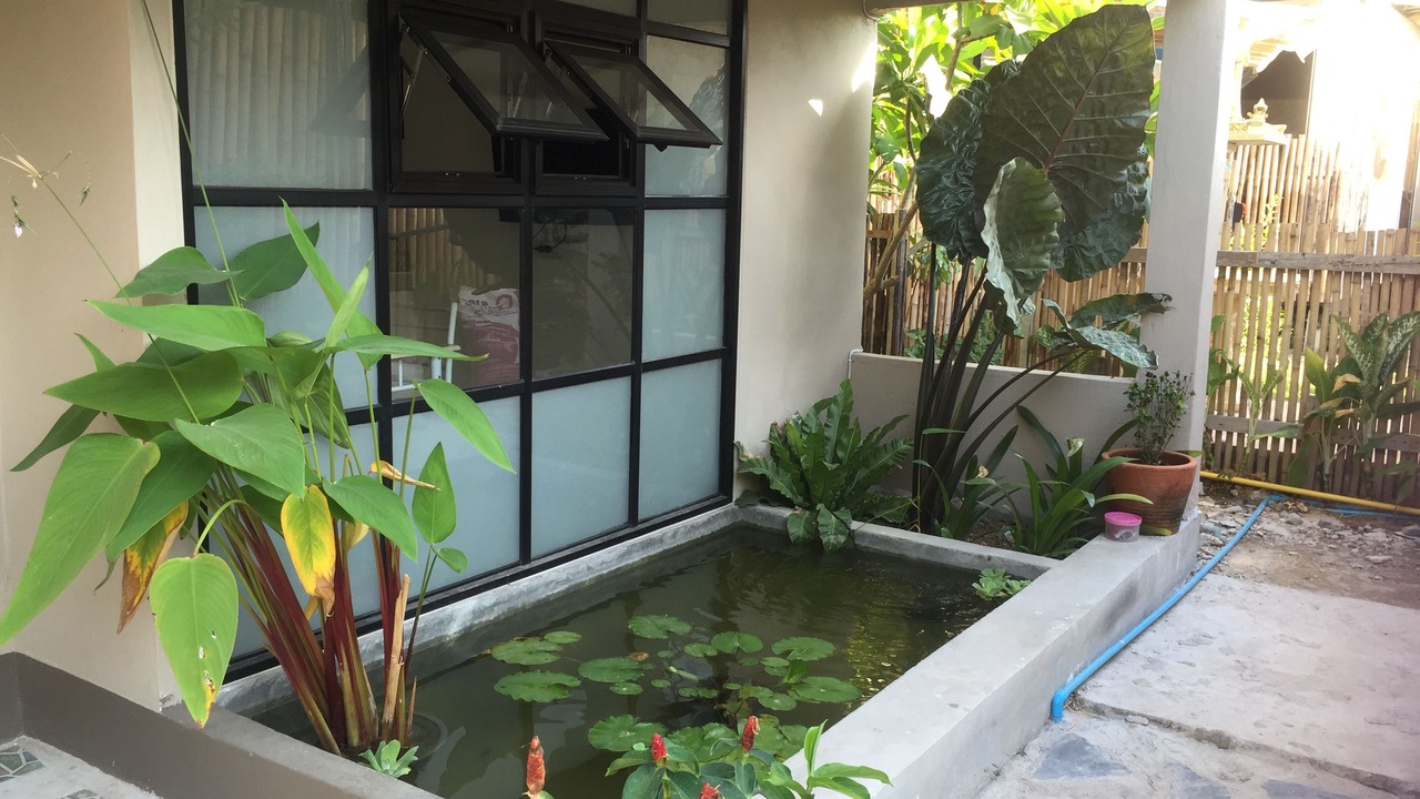 Photo of Outdoor in Ko Lanta