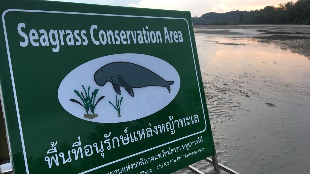 Photo of Others in Nong Thale