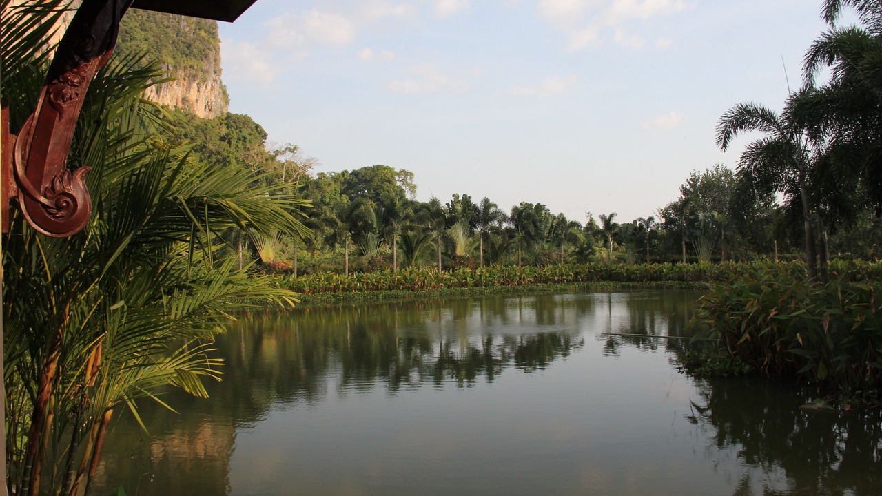 Photo of Others in Nong Thale