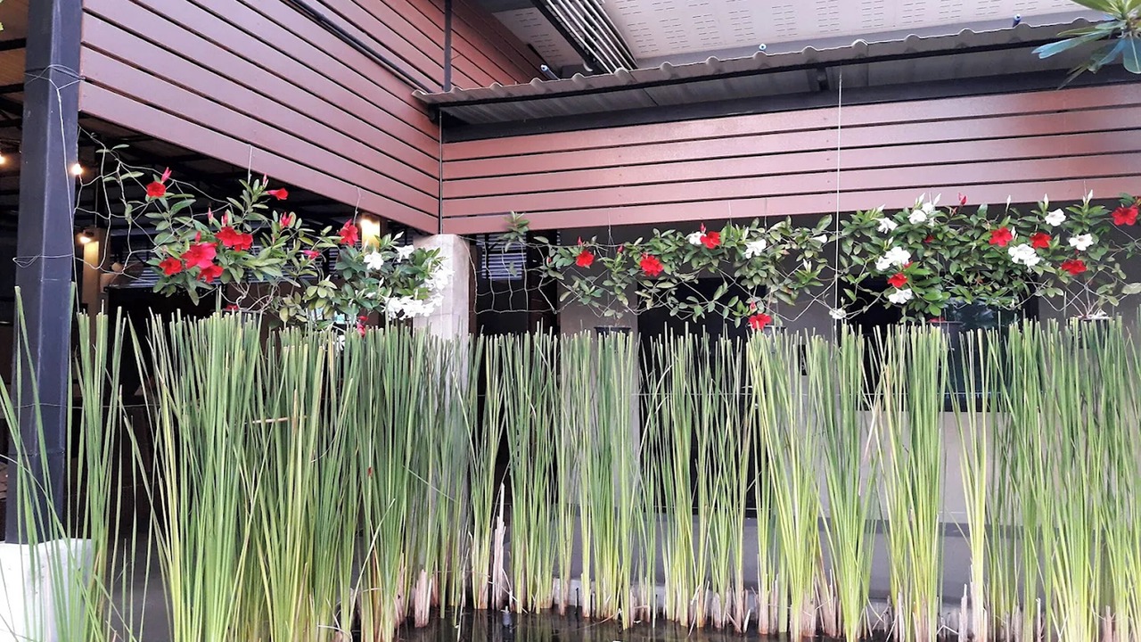 Photo of Outdoor in Ban Du