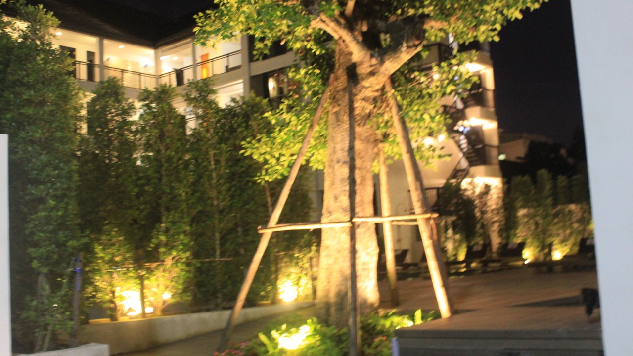 Photo of Outdoor in Nimman