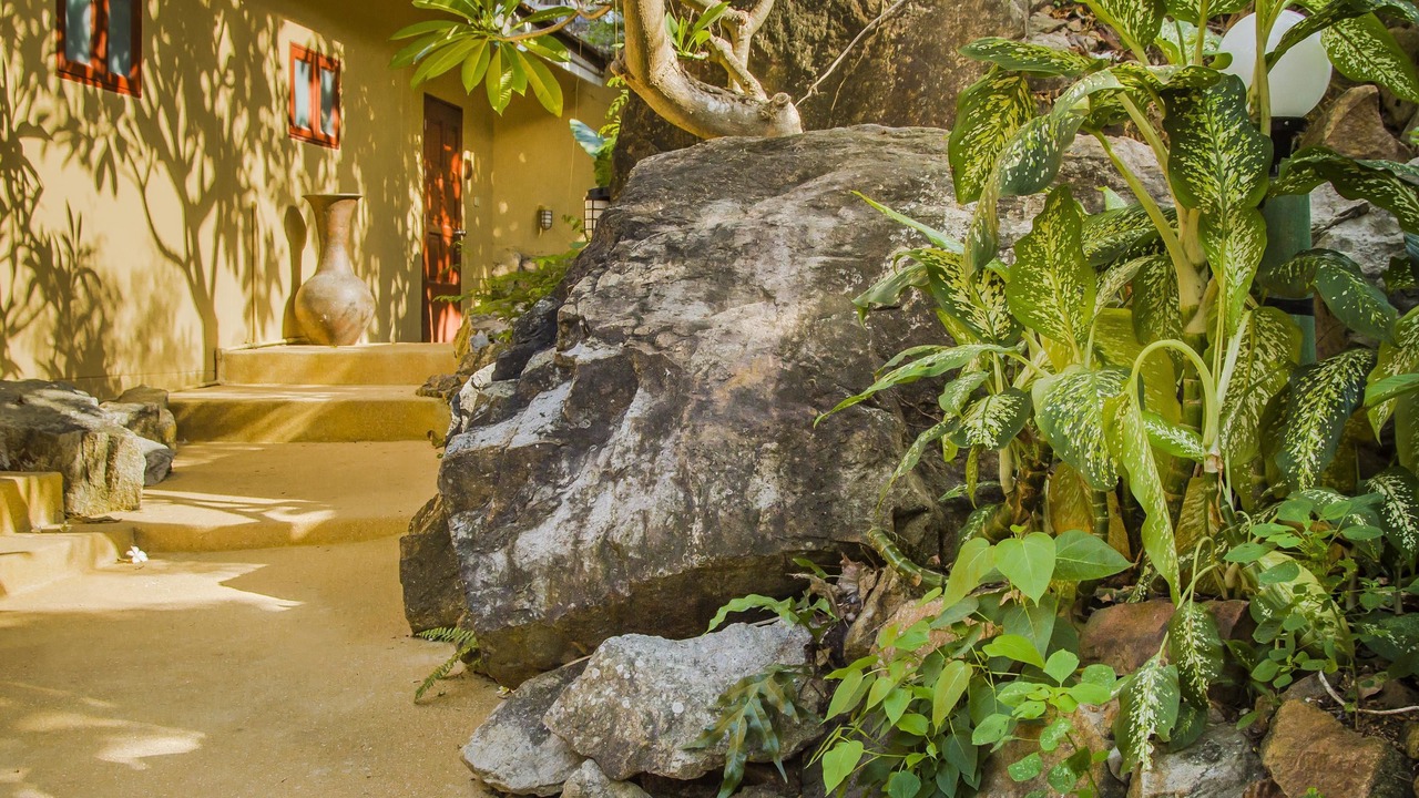 Photo of Outdoor in Lamai