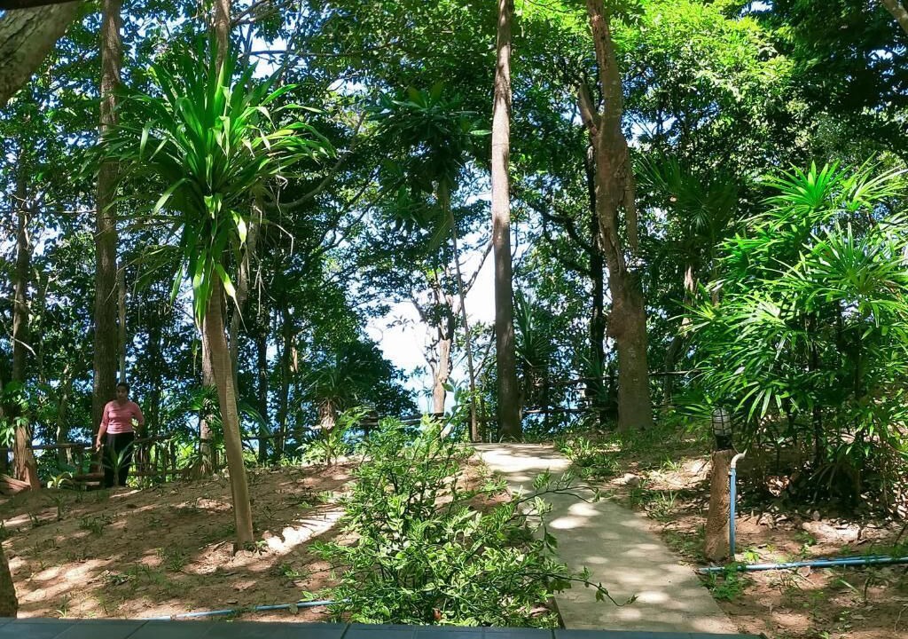 Photo of Outdoor in Nuea Khlong