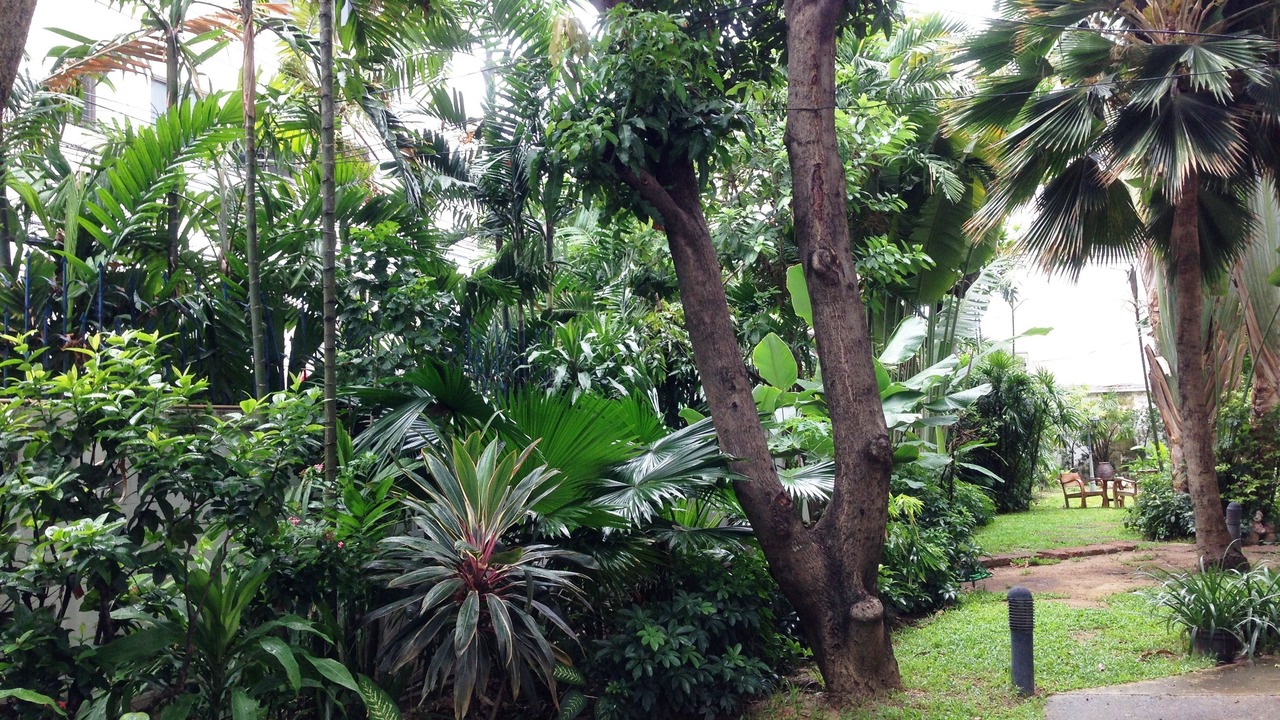 Photo of Outdoor in Ratchathewi
