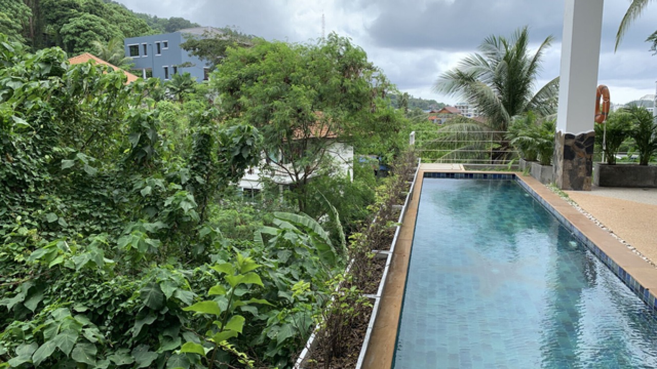 Photo of Outdoor in Kata