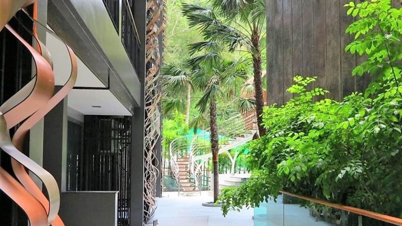 Photo of Outdoor in Patong