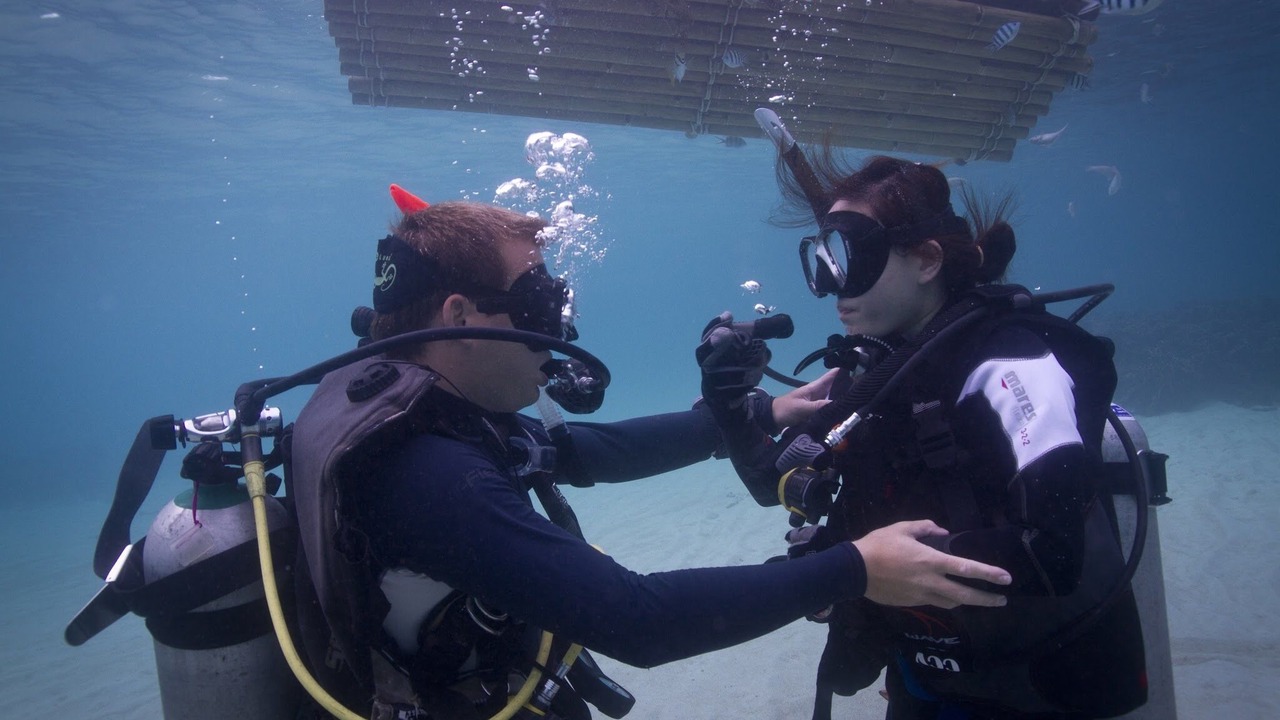 Photo of Others in Koh Tao