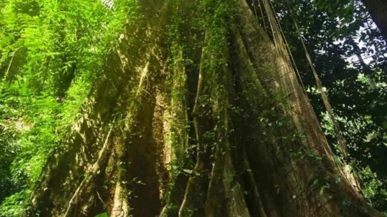 Photo of Outdoor in Sa Khu