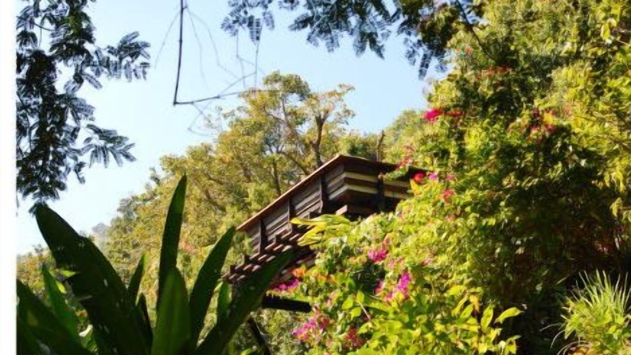 Photo of Outdoor in Hang Dong