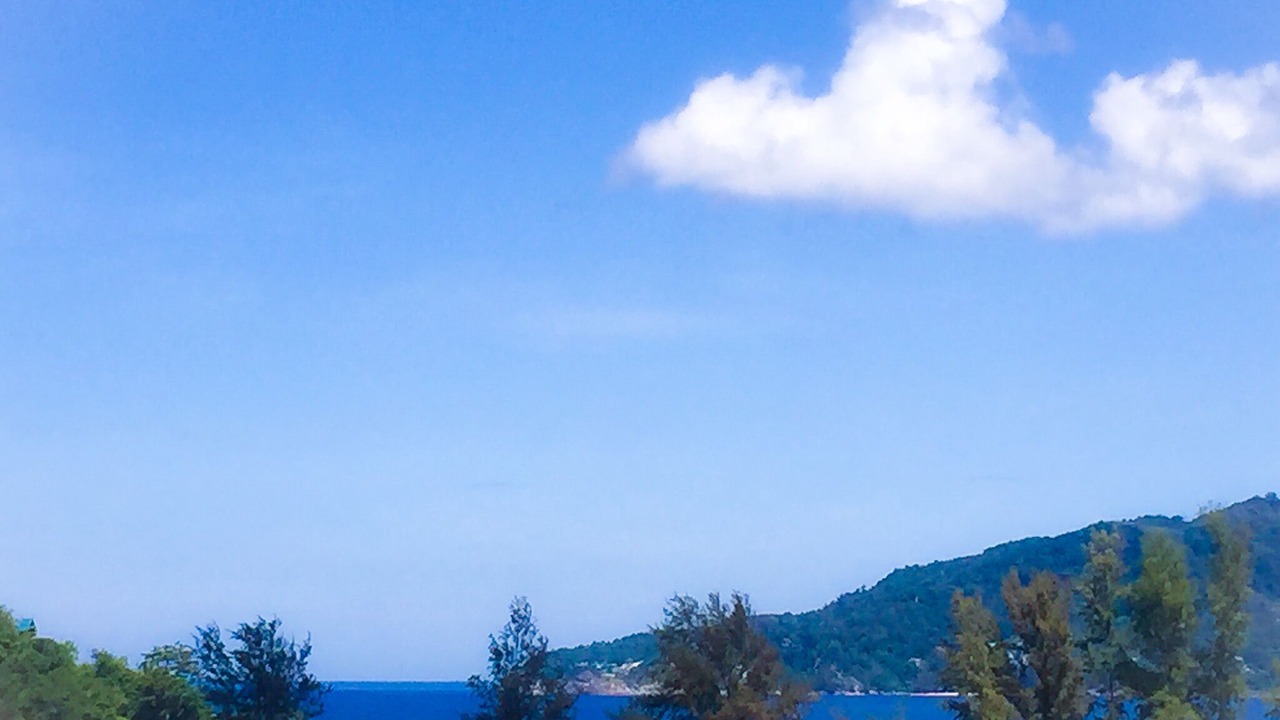 Photo of Others in Patong
