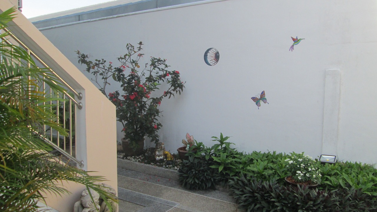 Photo of Outdoor in Kamala