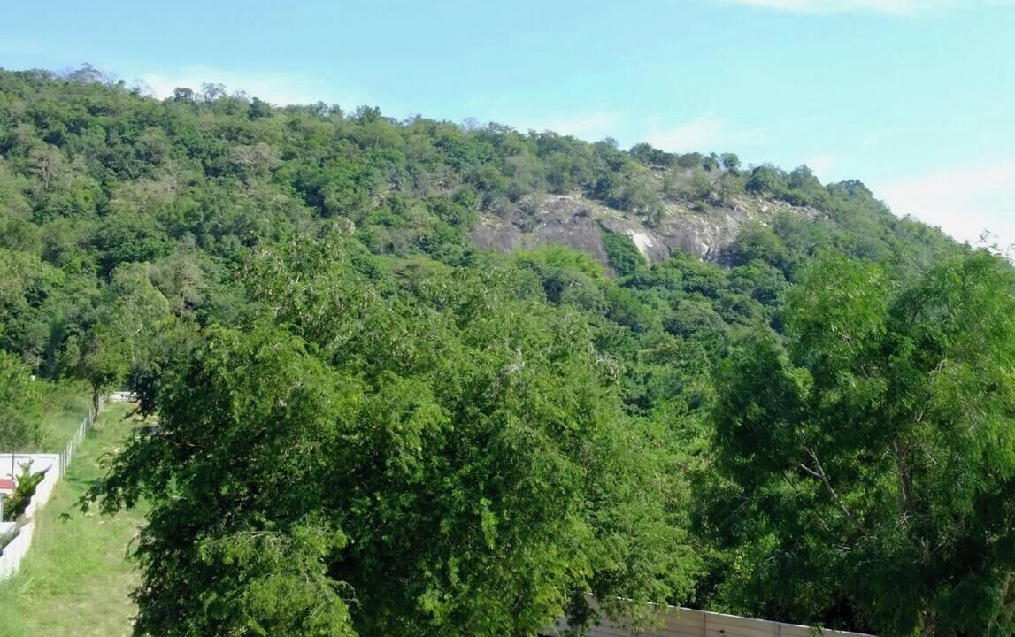Photo of Outdoor in Wang Pong