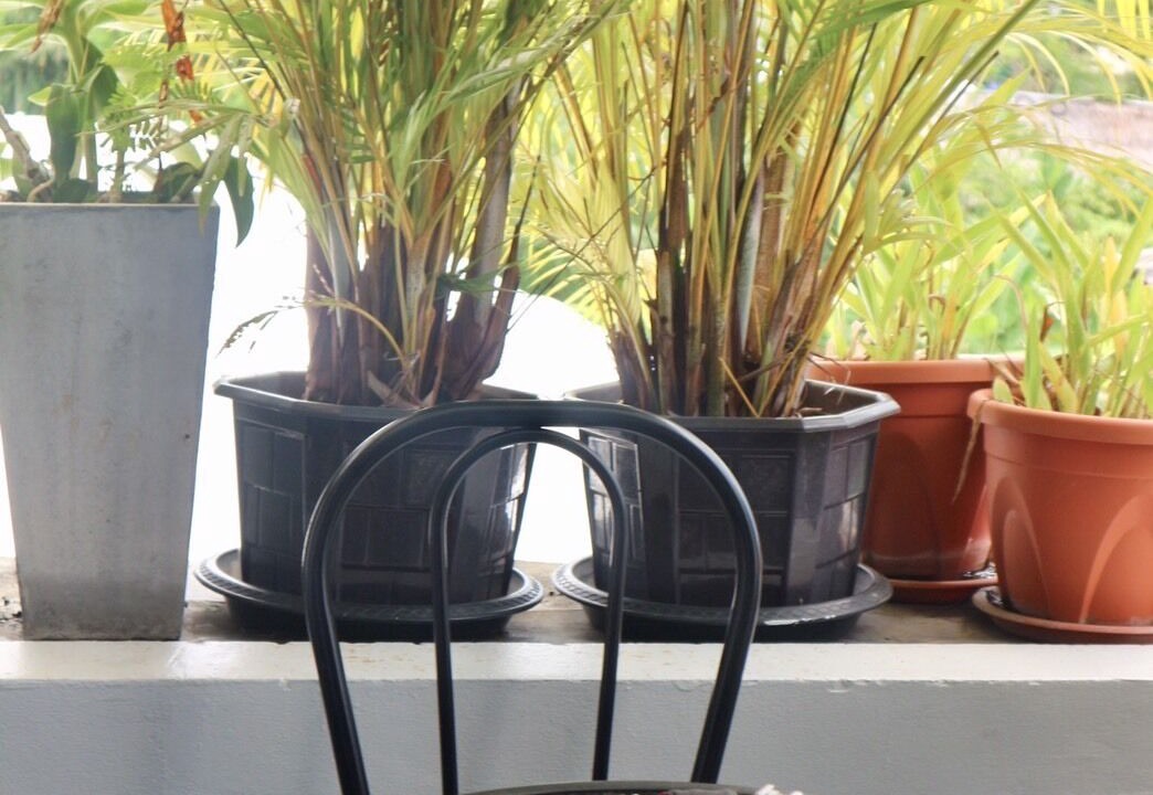 Photo of Outdoor in Talat Yai