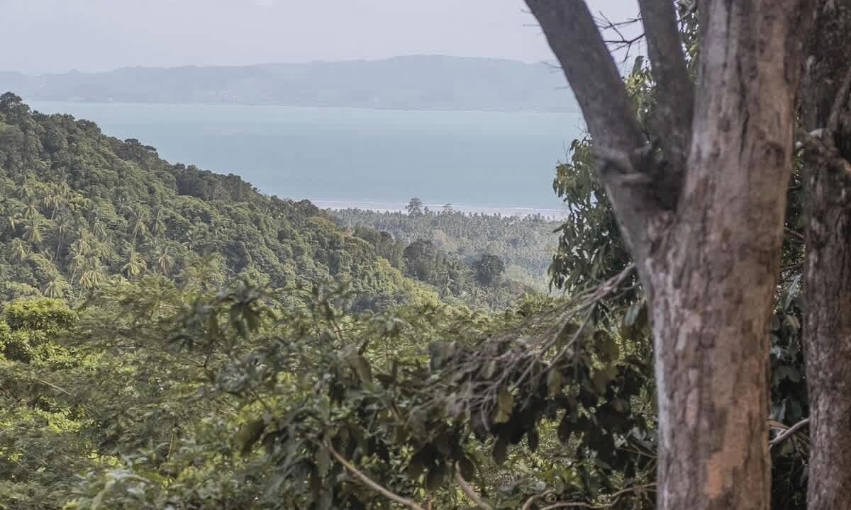 Photo of Others in Ko Pha-ngan