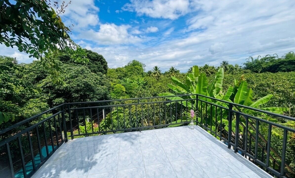 Photo of Outdoor in San Pa Thong