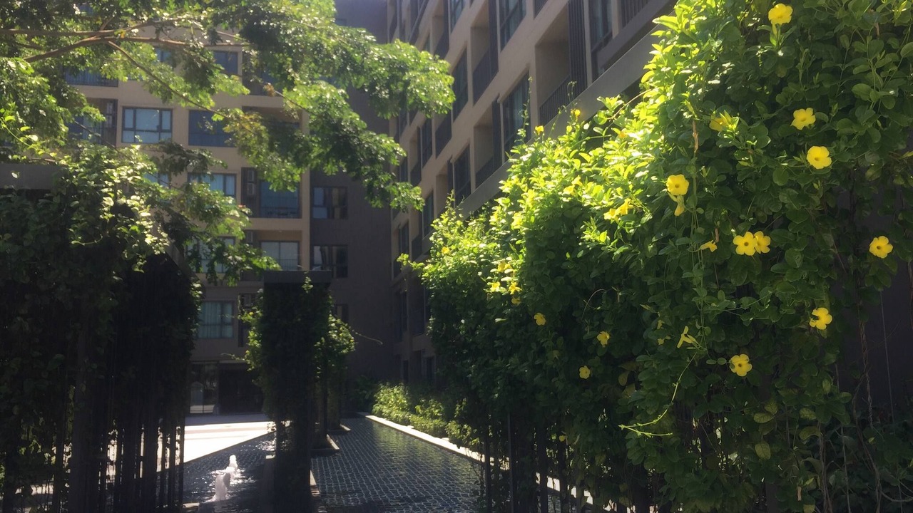 Photo of Outdoor in Cha-am