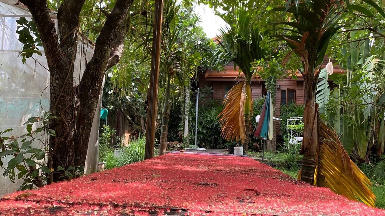 Photo of Outdoor in Rim Nuea