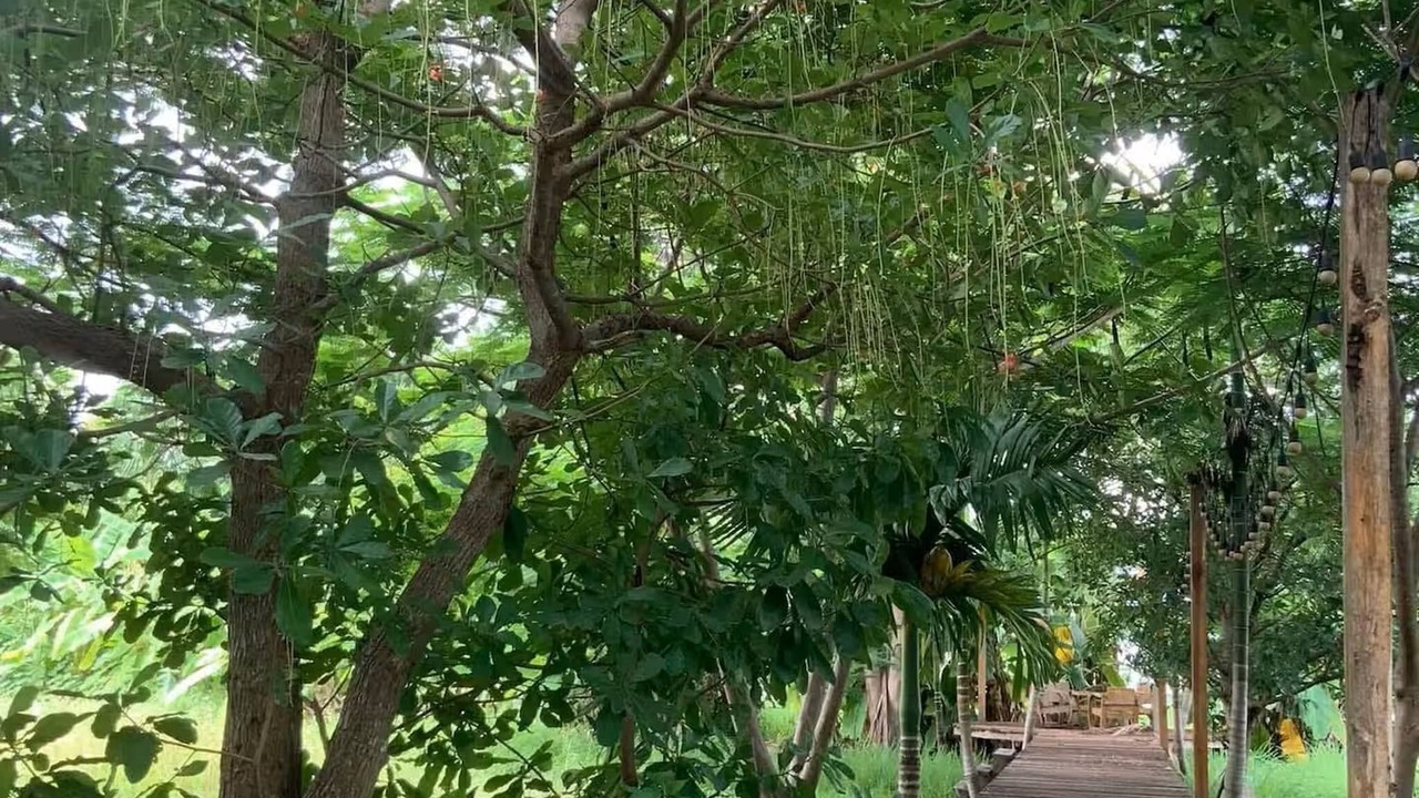 Photo of Outdoor in Rim Nuea