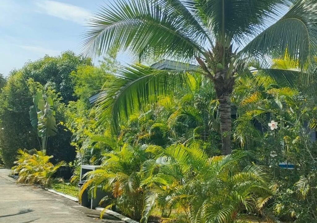 Photo of Outdoor in Bang Po