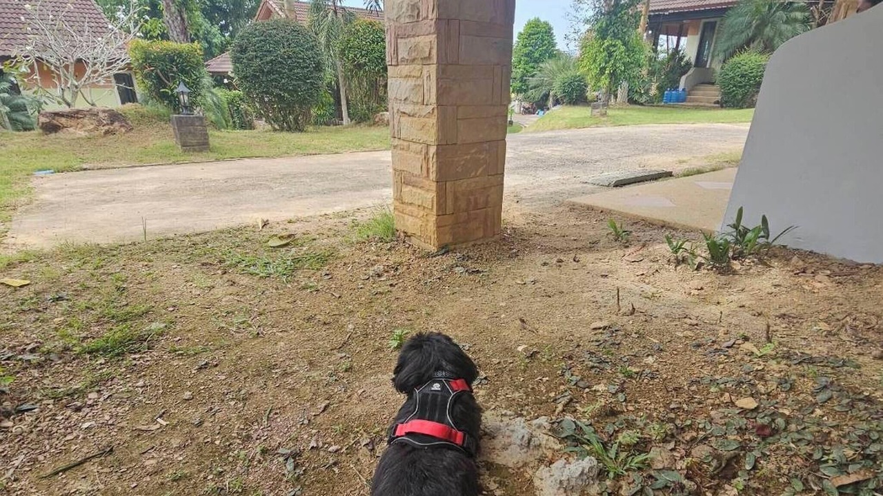 Photo of Outdoor in Ko Lanta