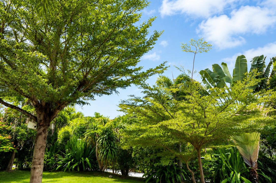 Photo of Outdoor in Khao Tao