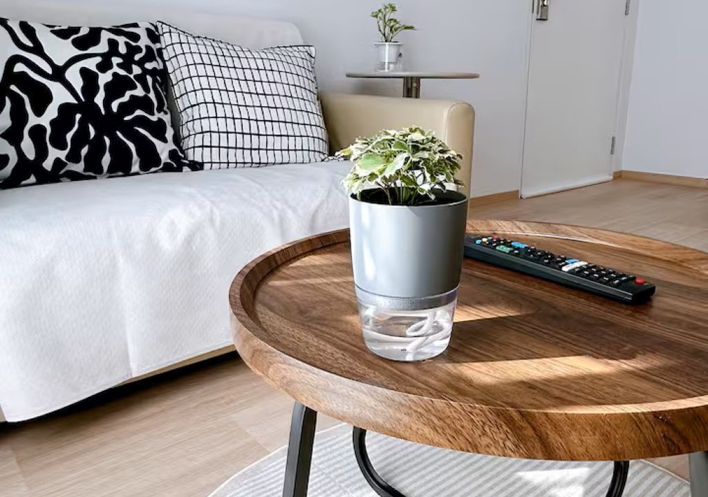 Photo of Livingroom in Anusawari