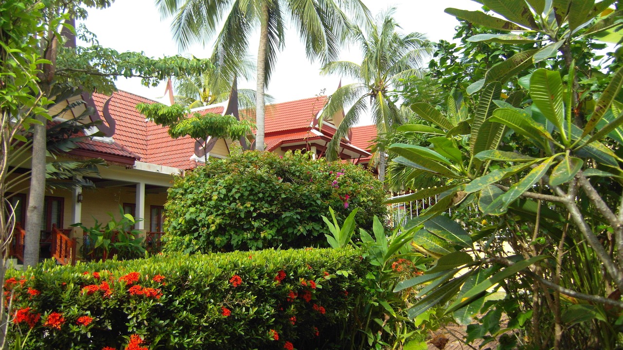 Photo of Outdoor in Rawai