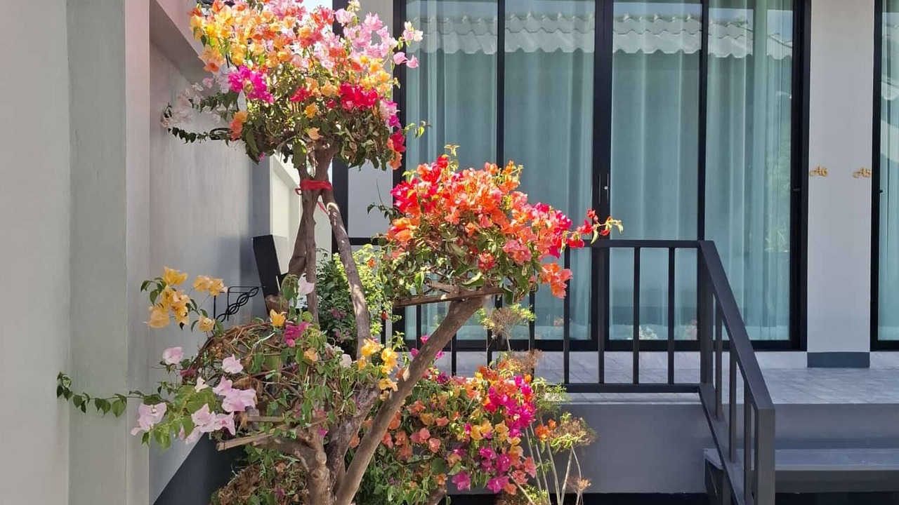 Photo of Outdoor in Krabi