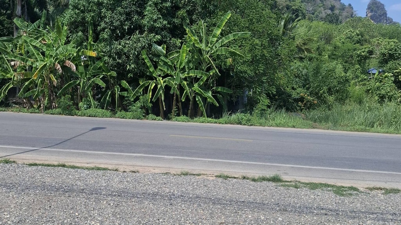 Photo of Others in Krabi