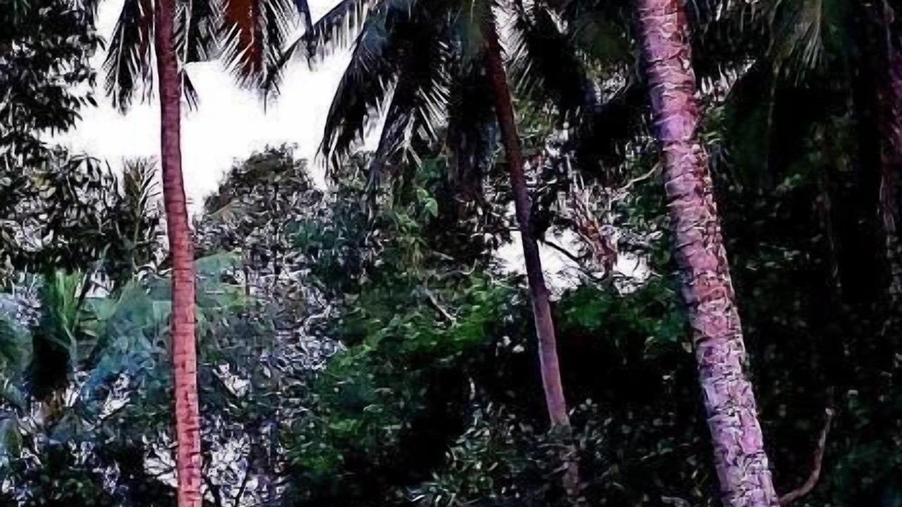 Photo of Outdoor in Ko Yao