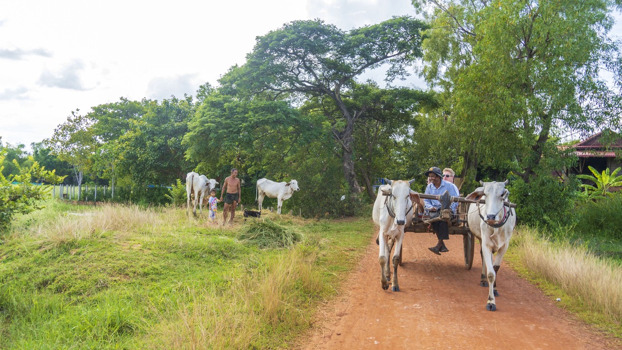 Photo of Outdoor in Prasat Bakong