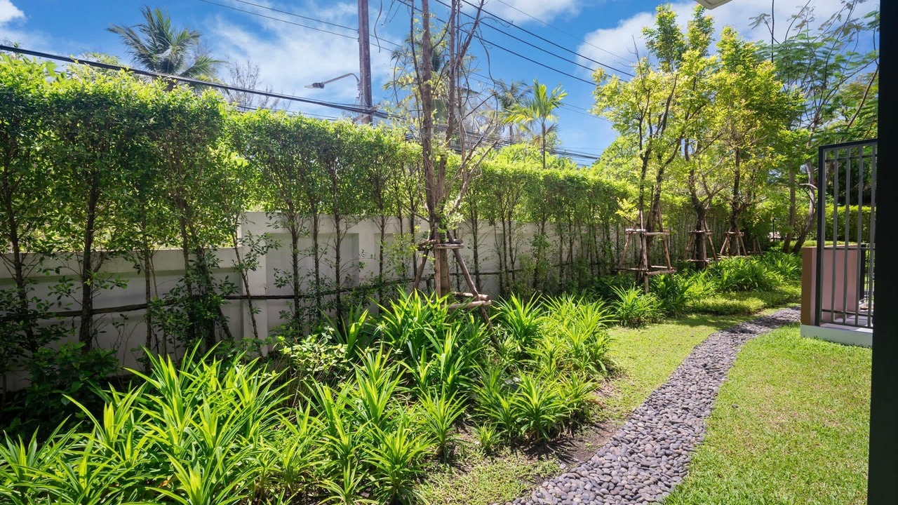 Photo of Outdoor in Laguna