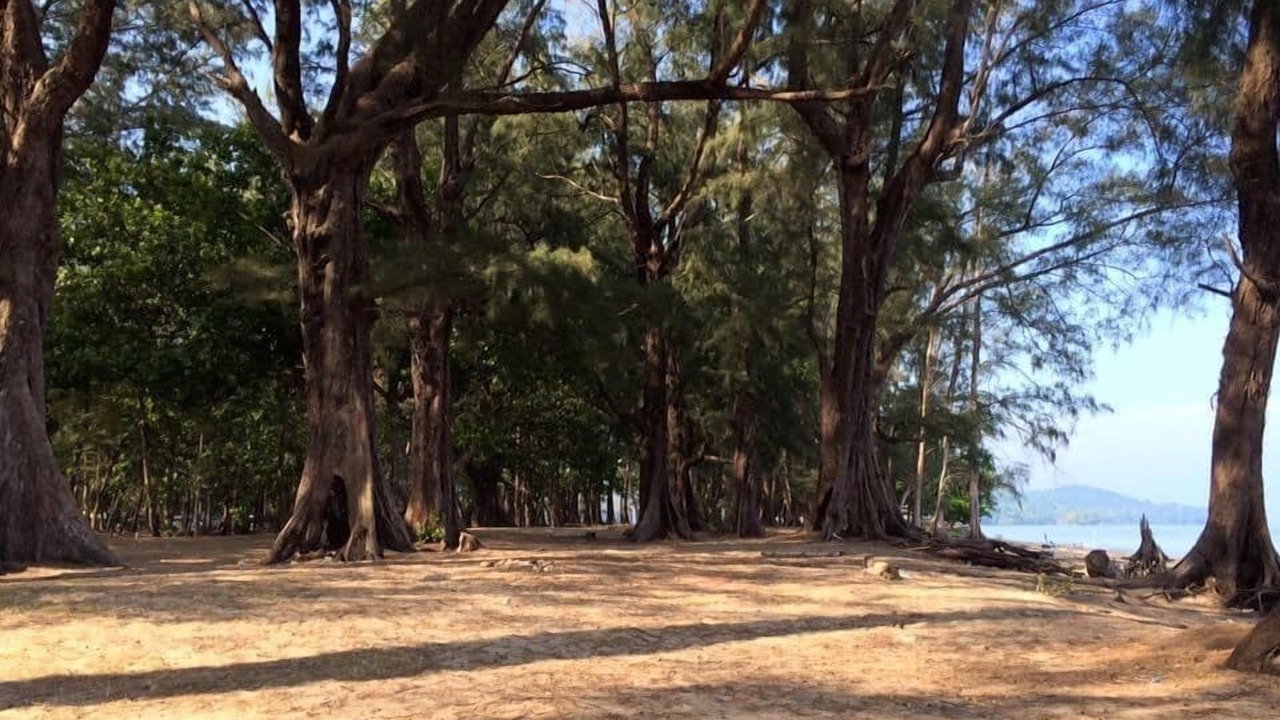 Photo of Outdoor in Mai Khao