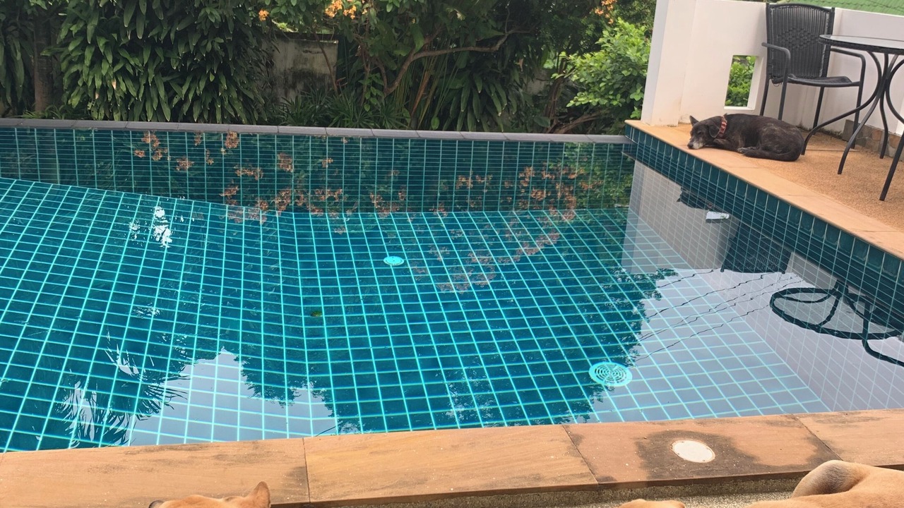 Photo of Outdoor in Rawai