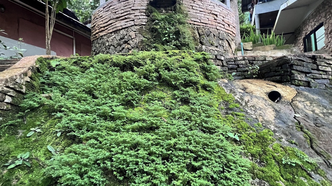 Photo of Outdoor in Kuet Chang